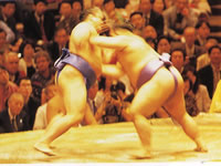ReadyClickAndGo, sumo in Japan